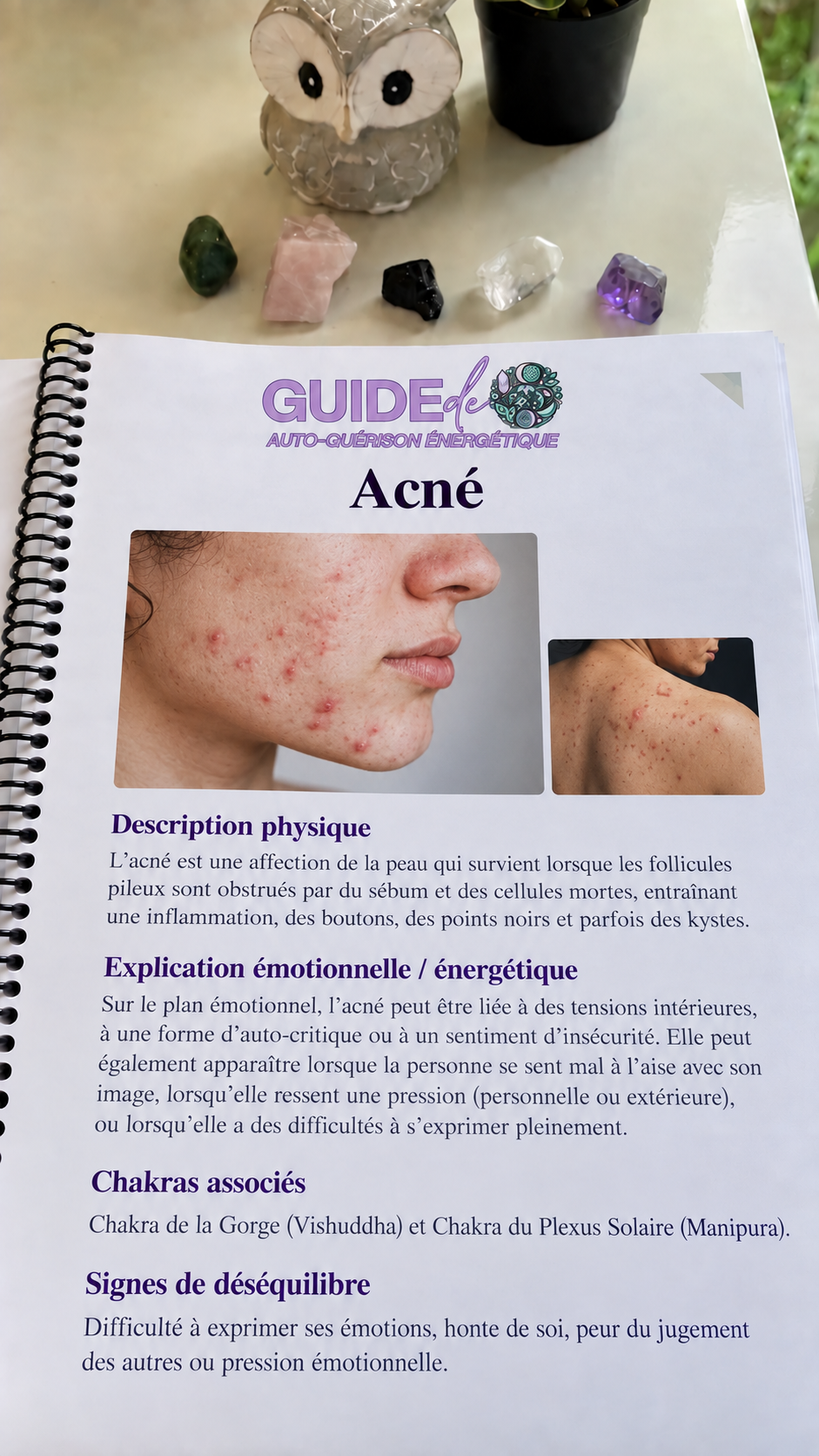 Aperçu du guide — page 2