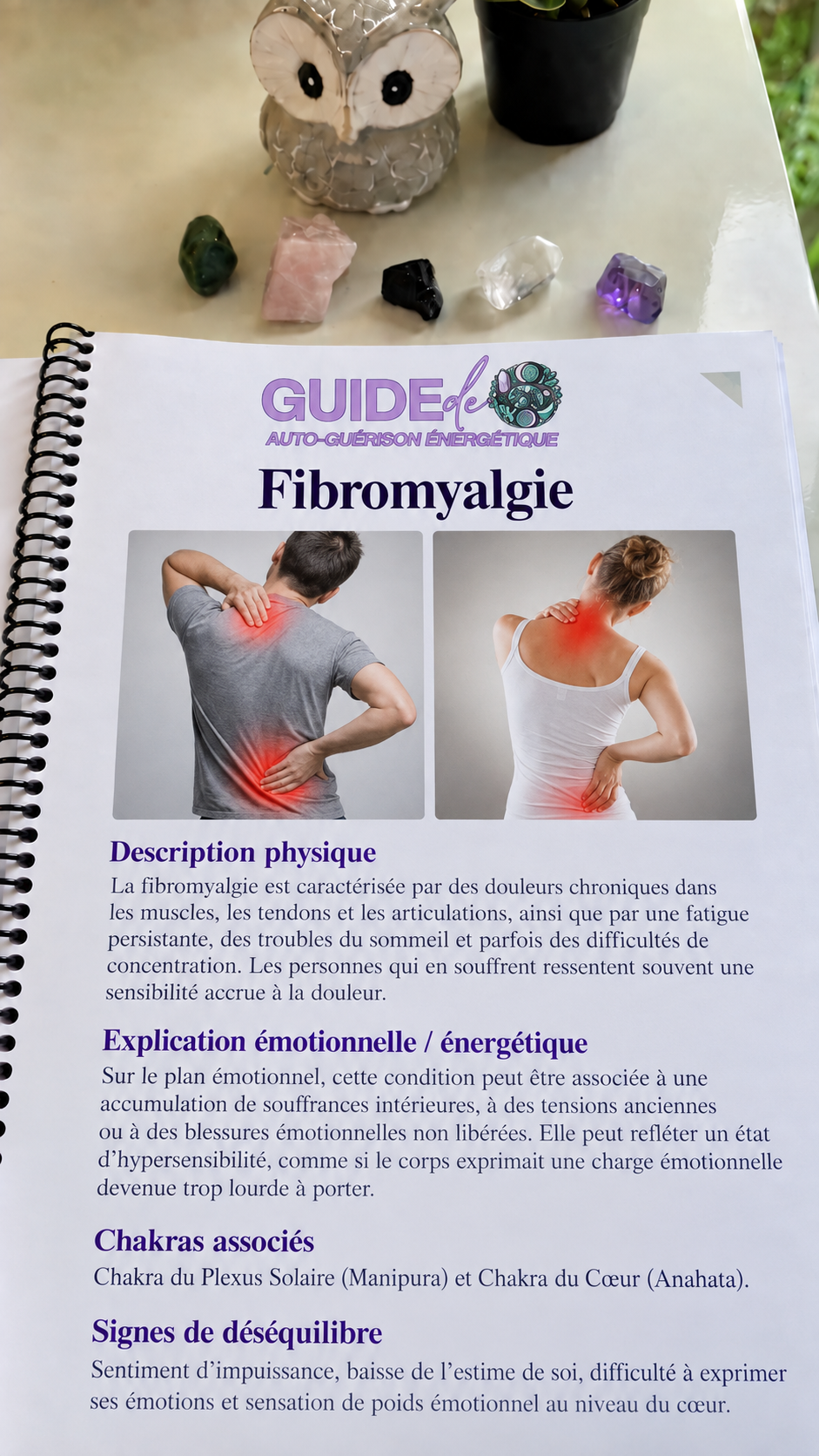 Aperçu du guide — page 4